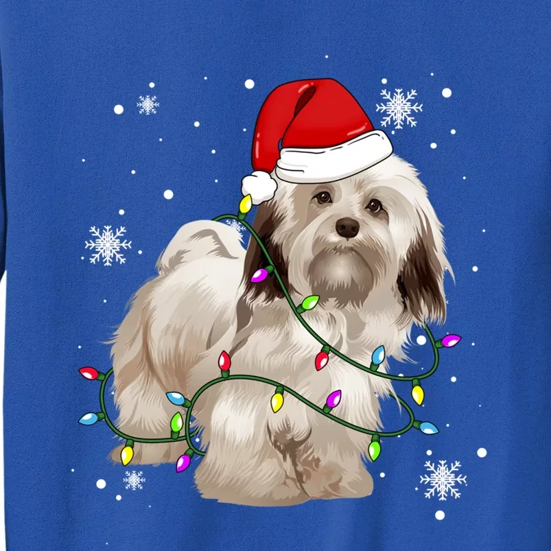 Havanese Dog Christmas Light Christmas Dog Santa Hat Lover Cute Gift Tall Sweatshirt