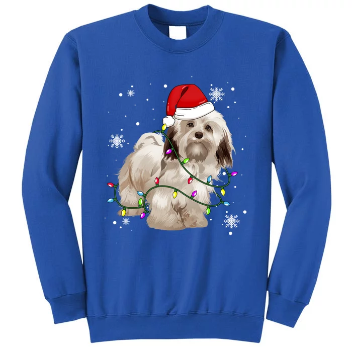 Havanese Dog Christmas Light Christmas Dog Santa Hat Lover Cute Gift Tall Sweatshirt