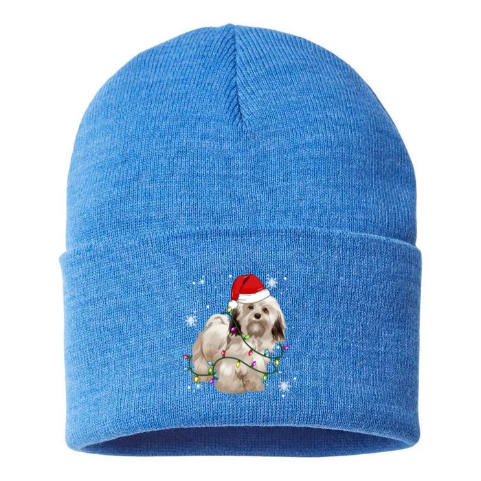 Havanese Dog Christmas Light Christmas Dog Santa Hat Lover Cute Gift Sustainable Knit Beanie