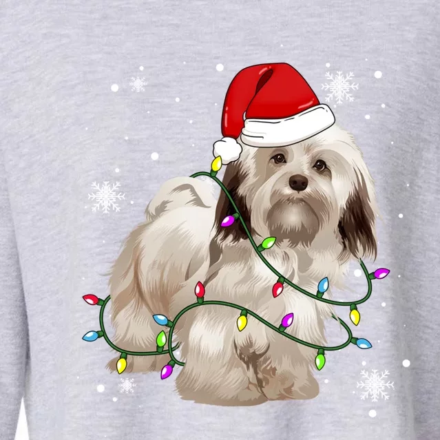 Havanese Dog Christmas Light Christmas Dog Santa Hat Lover Cute Gift Cropped Pullover Crew