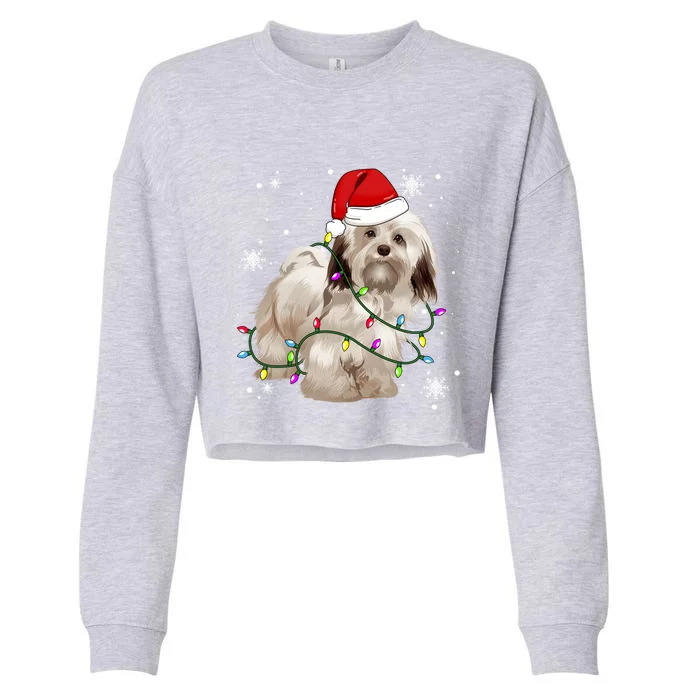 Havanese Dog Christmas Light Christmas Dog Santa Hat Lover Cute Gift Cropped Pullover Crew