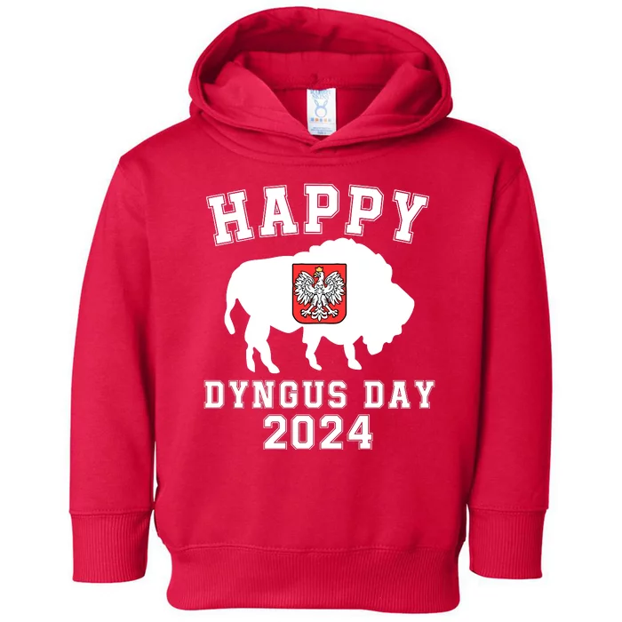 Happy Dyngus Day 2024 Dyngus Day Polish American Polska White Eagle Polish Eagle Toddler Hoodie