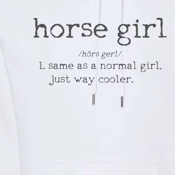 Horse Definition Funny Horseback Riding Rider Gift Premium Hoodie