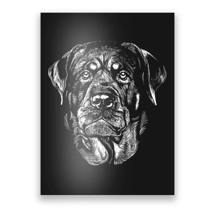 Hand Drawn Rottweiler Dog Poster