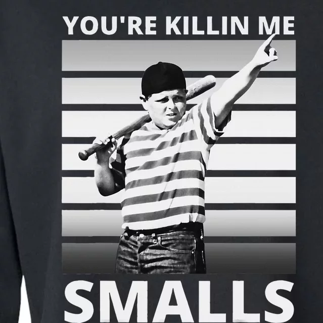 Humor Dad Saying YouRe Killing Me Smalls Cropped Pullover Crew