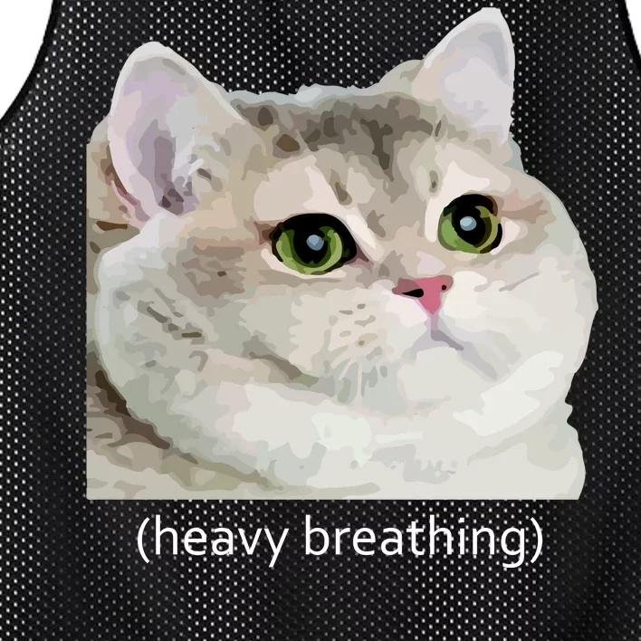 Heavy Breathing Cat Mesh Reversible Basketball Jersey Tank