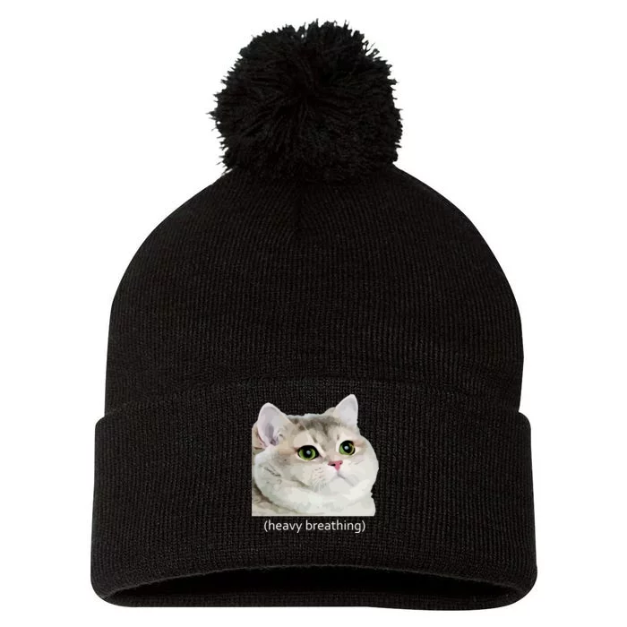 Heavy Breathing Cat Pom Pom 12in Knit Beanie