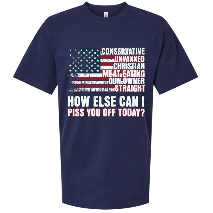 How Else Can I Piss You Off Today Us Flag Sueded Cloud Jersey T-Shirt