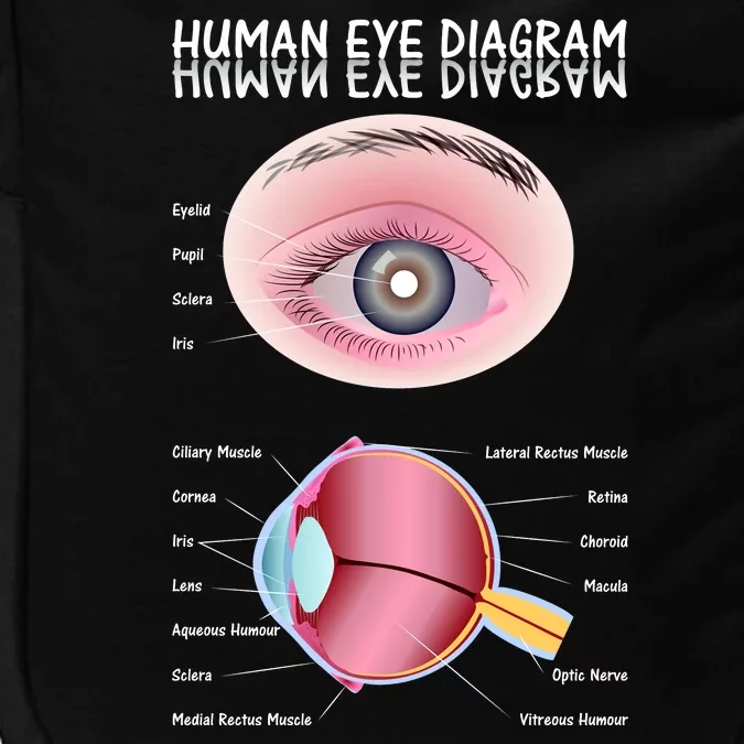 Human Eye Diagram Impact Tech Backpack