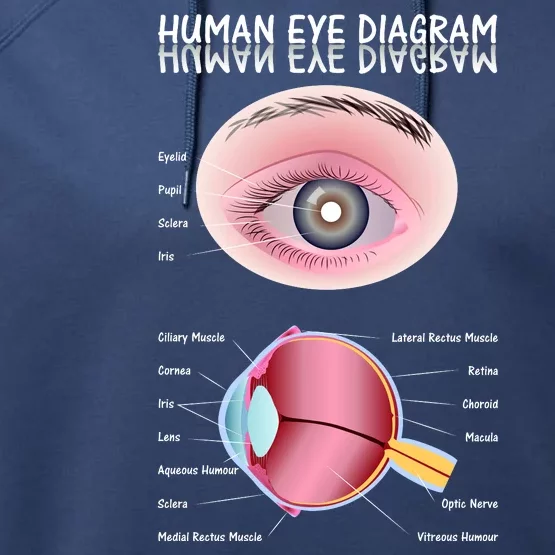 Human Eye Diagram Performance Fleece Hoodie