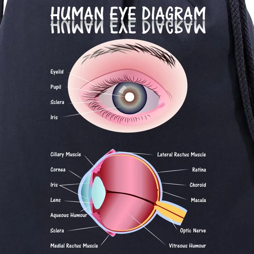 Human Eye Diagram Drawstring Bag