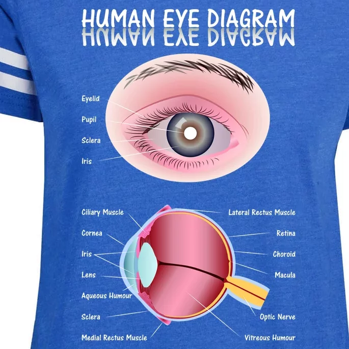 Human Eye Diagram Enza Ladies Jersey Football T-Shirt