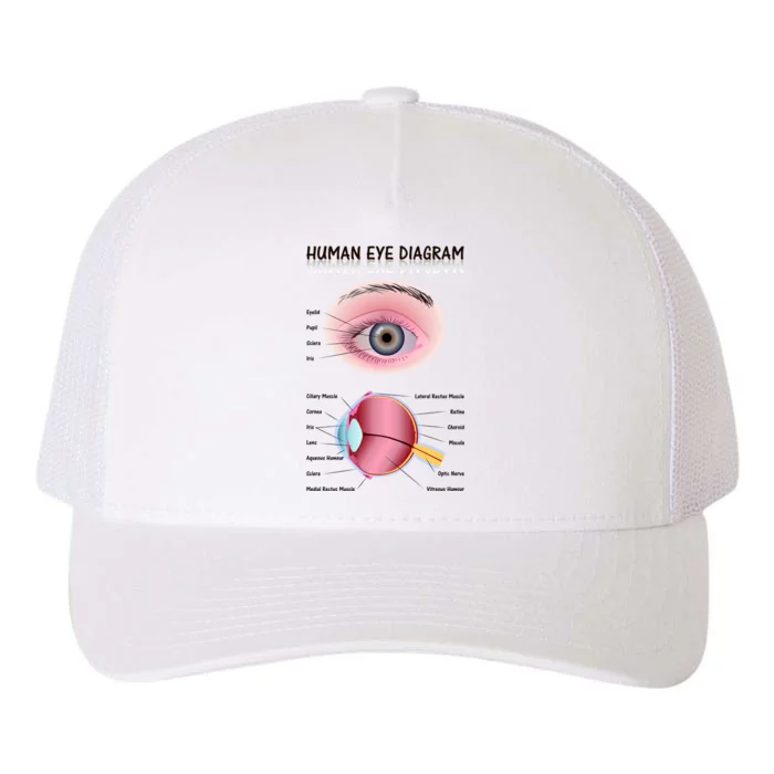 Human Eye Diagram Yupoong Adult 5-Panel Trucker Hat