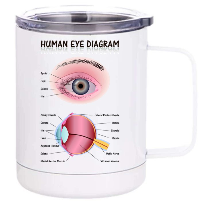 Human Eye Diagram Front & Back 12oz Stainless Steel Tumbler Cup