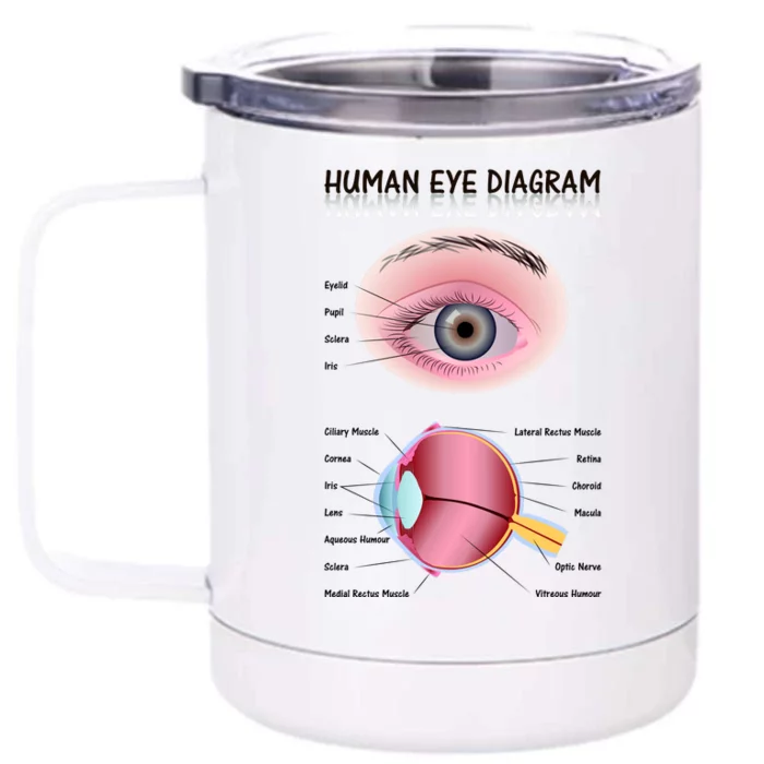 Human Eye Diagram Front & Back 12oz Stainless Steel Tumbler Cup