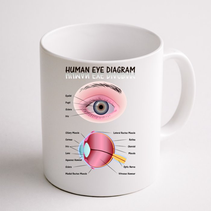 Human Eye Diagram Coffee Mug