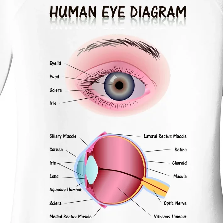 Human Eye Diagram Women's Perfect Tri Tunic Long Sleeve Shirt