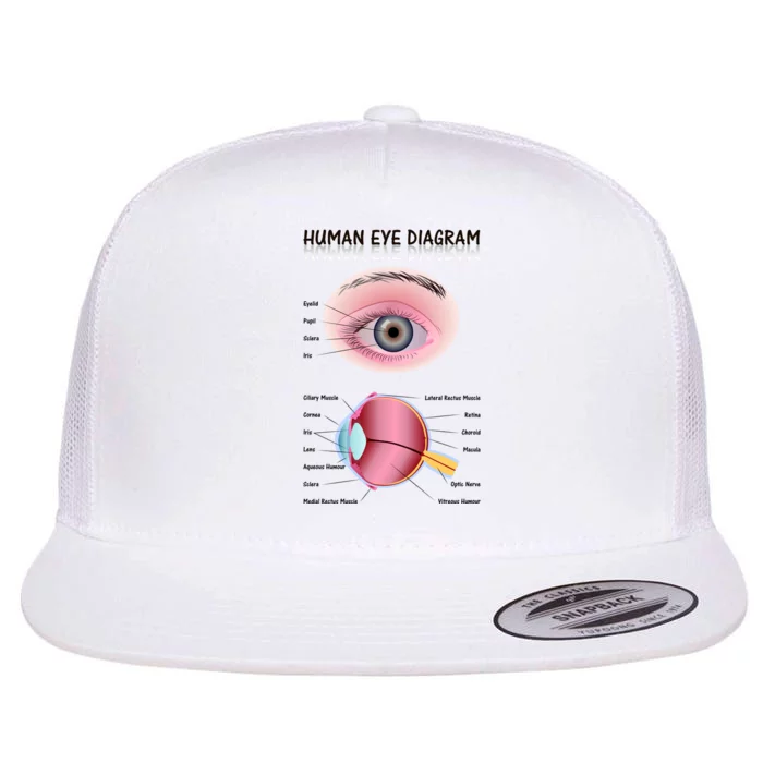 Human Eye Diagram Flat Bill Trucker Hat