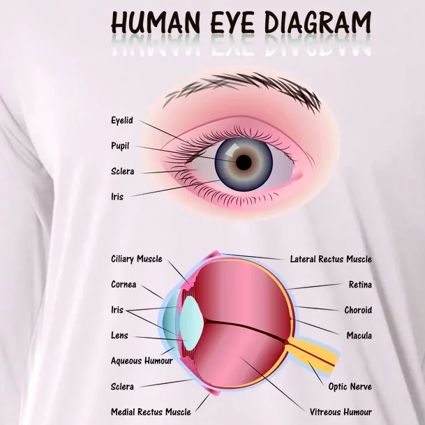 Human Eye Diagram Cooling Performance Long Sleeve Crew