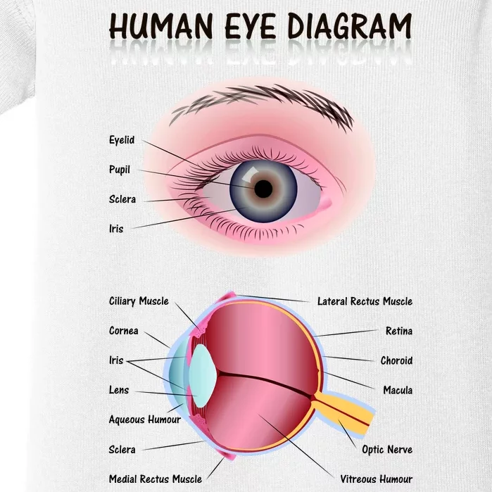 Human Eye Diagram Baby Bodysuit