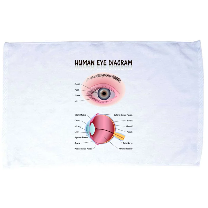 Human Eye Diagram Microfiber Hand Towel