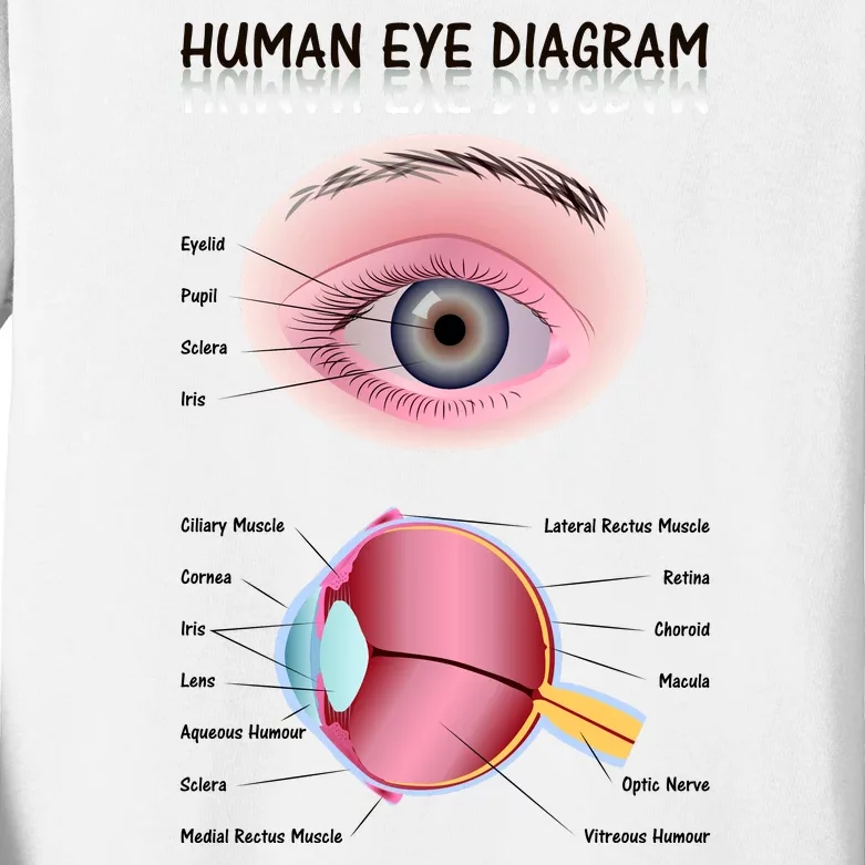 Human Eye Diagram Kids Long Sleeve Shirt