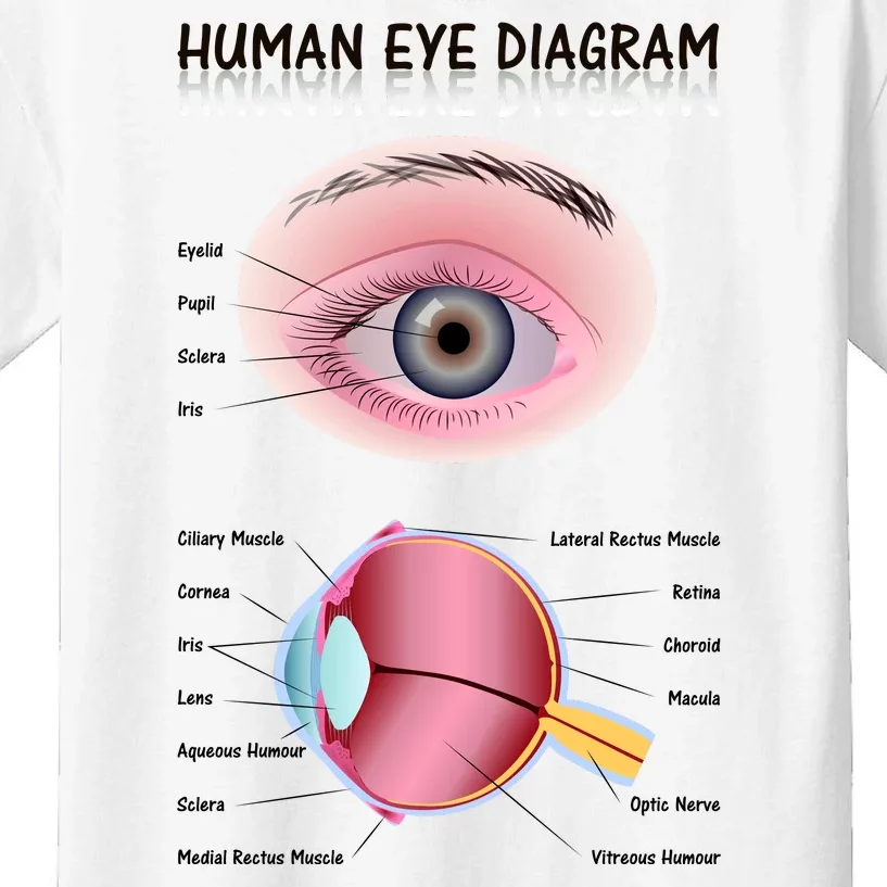 Human Eye Diagram Kids T-Shirt