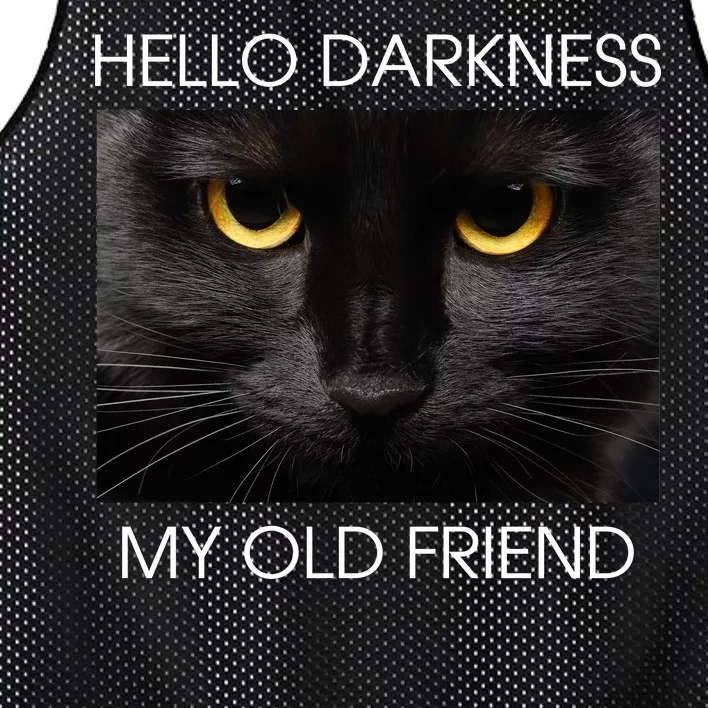 Hello Darkness My Old Friend Cat Mesh Reversible Basketball Jersey Tank