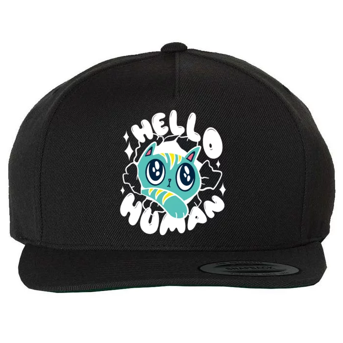 Hello Human Cat Wool Snapback Cap