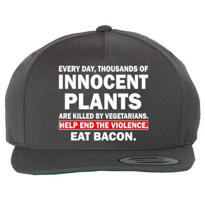 Help End The Violence Eat Bacon Wool Snapback Cap