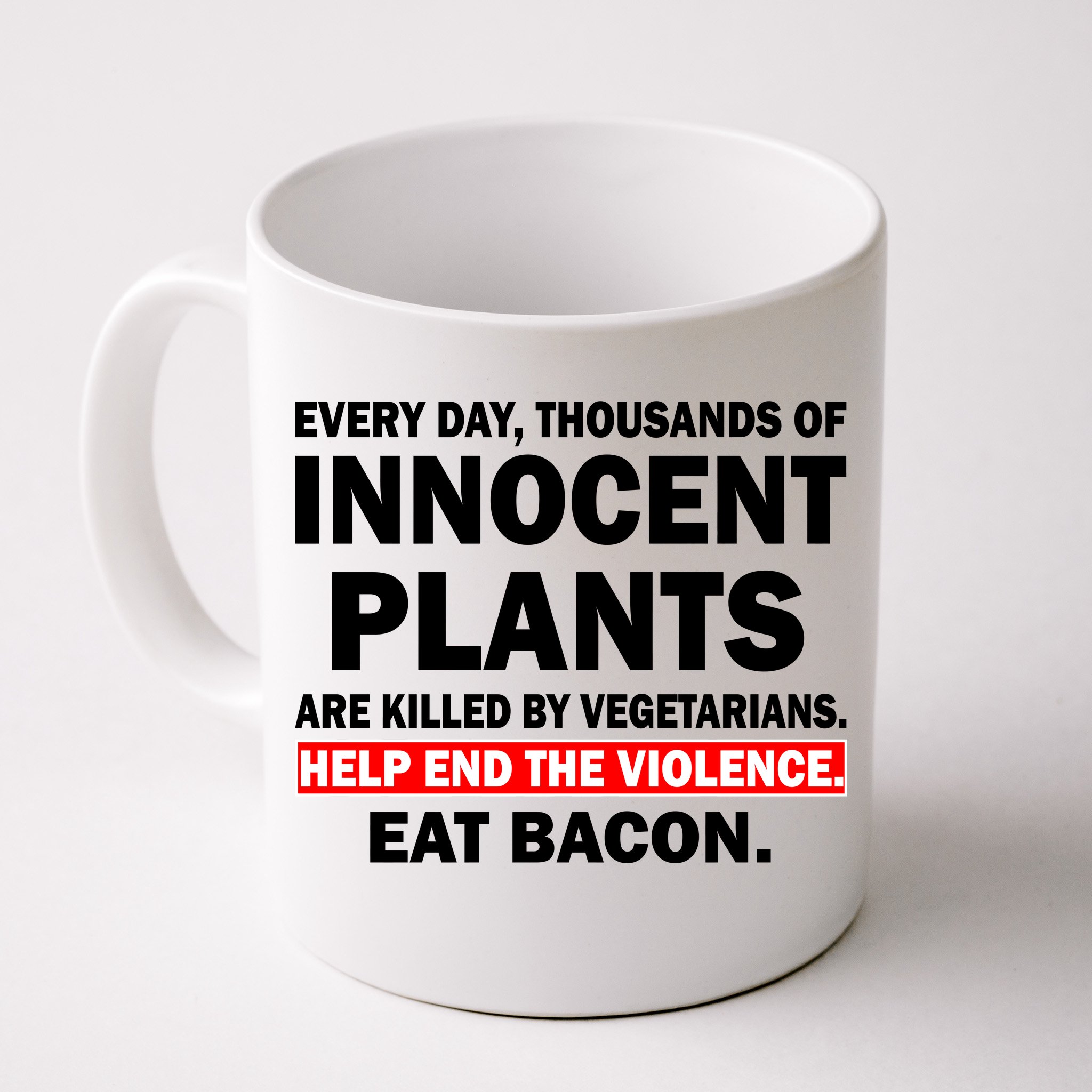 Anti-Vegetarian " End the Violence Eat Bacon " Magnet 