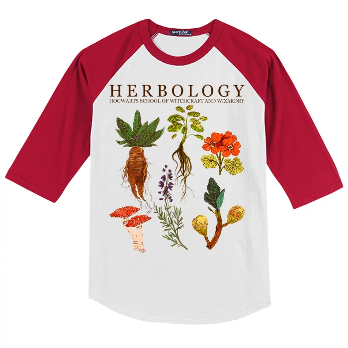 Herbology Hogwarts School of Witchcraft And Wizardry Kids Colorblock Raglan Jersey