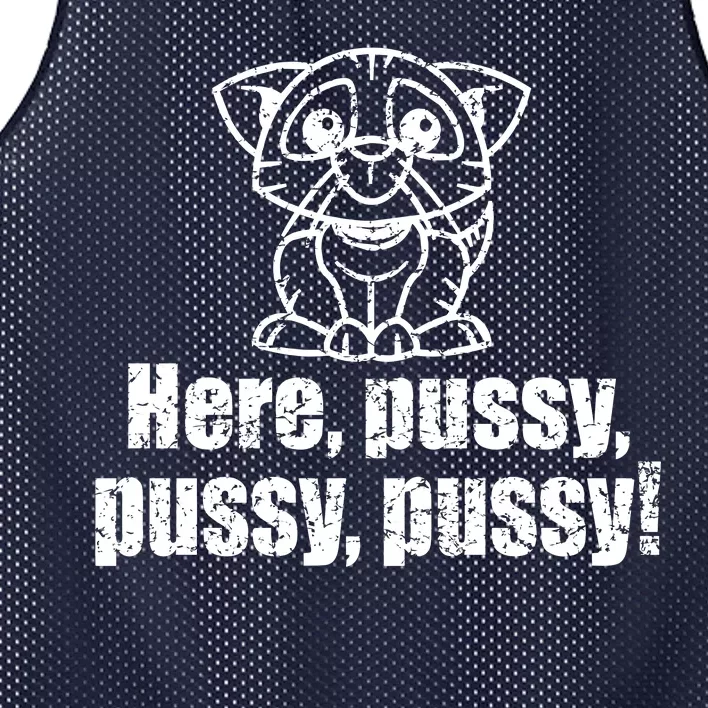 Here Pussy Pussy Pussy Cat Mesh Reversible Basketball Jersey Tank