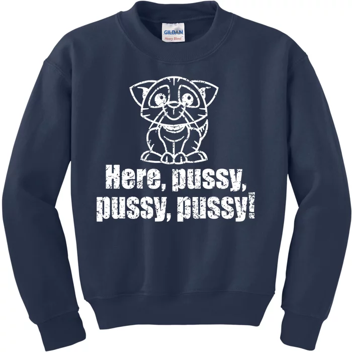 Here Pussy Pussy Pussy Cat Kids Sweatshirt