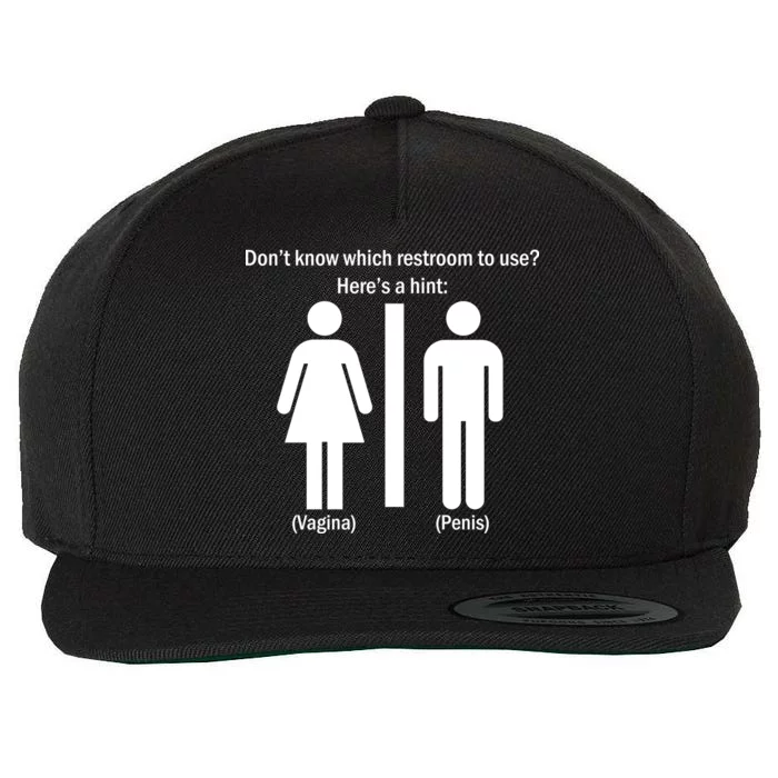 Here's A Hint Vagina Penis Wool Snapback Cap