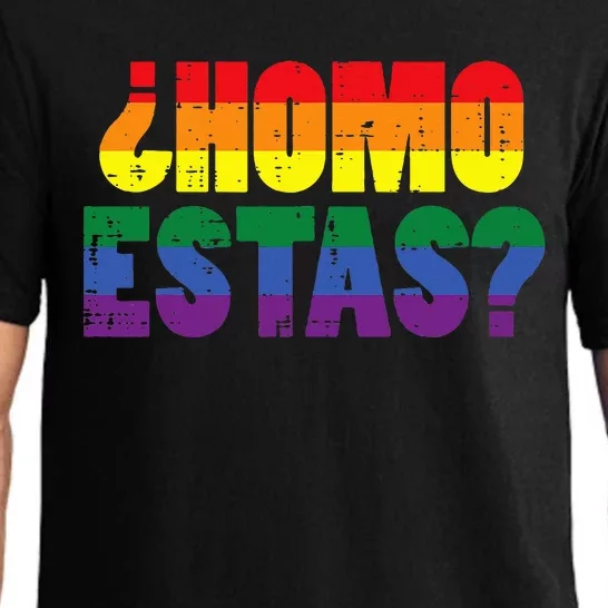 Homo Estas Spanish Mexican Funny Pride Ally Month Pajama Set