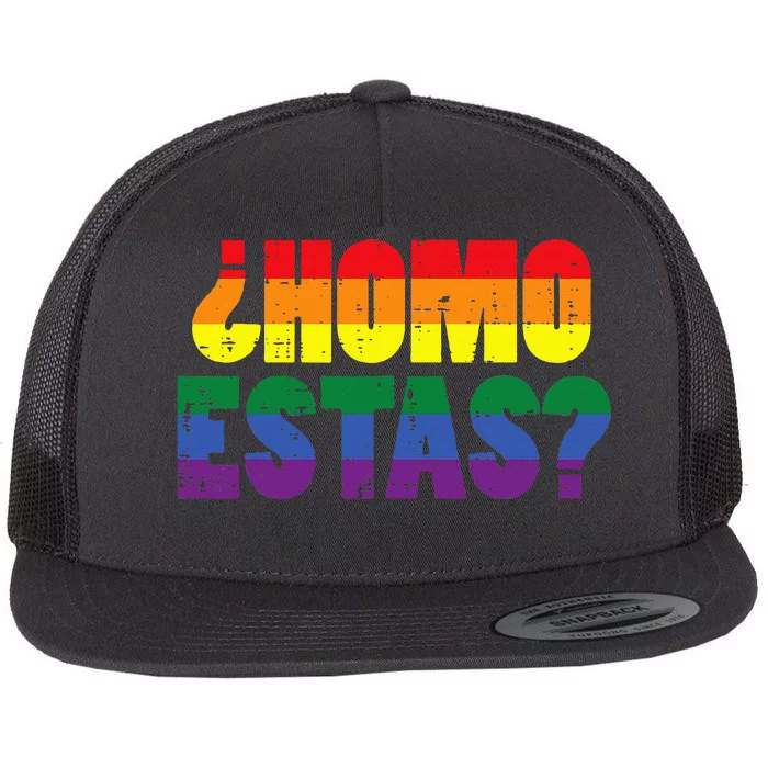 Homo Estas Spanish Mexican Funny Pride Ally Month Flat Bill Trucker Hat