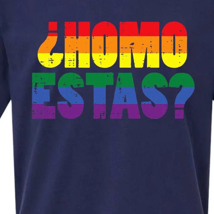 Homo Estas Spanish Mexican Funny Pride Ally Month Sueded Cloud Jersey T-Shirt