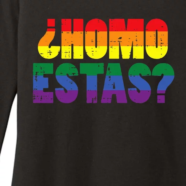 Homo Estas Spanish Mexican Funny Pride Ally Lgbt Month Womens CVC Long Sleeve Shirt