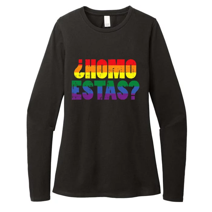 Homo Estas Spanish Mexican Funny Pride Ally Lgbt Month Womens CVC Long Sleeve Shirt