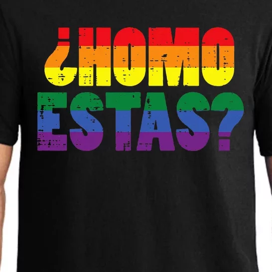 Homo Estas Spanish Mexican Funny Pride Ally Lgbt Month Pajama Set