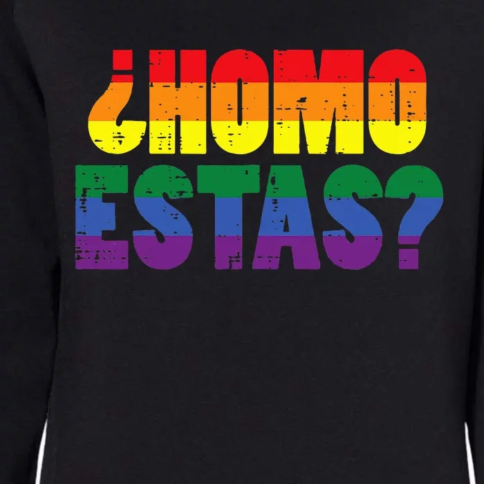 Homo Estas Spanish Mexican Funny Pride Ally Lgbt Month Womens California Wash Sweatshirt