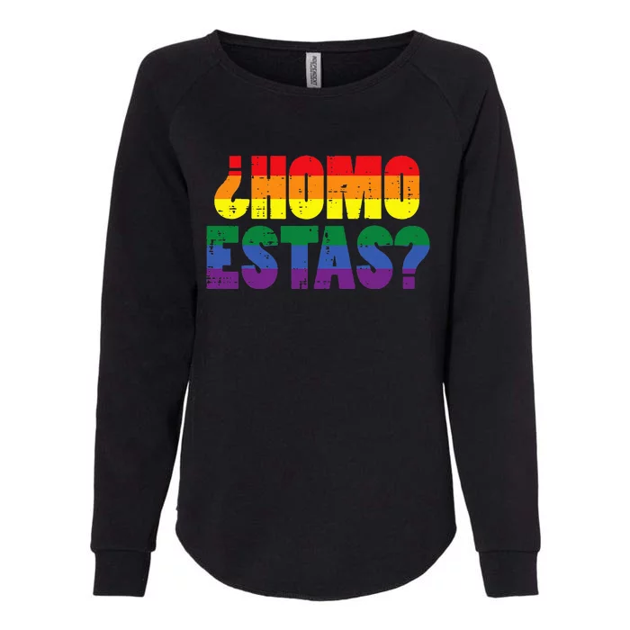 Homo Estas Spanish Mexican Funny Pride Ally Lgbt Month Womens California Wash Sweatshirt