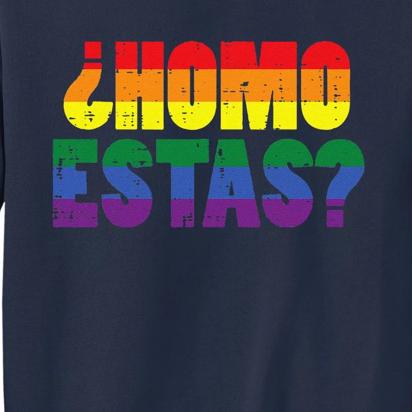 Homo Estas Spanish Mexican Funny Gay Pride Ally Lgbtq Month Sweatshirt