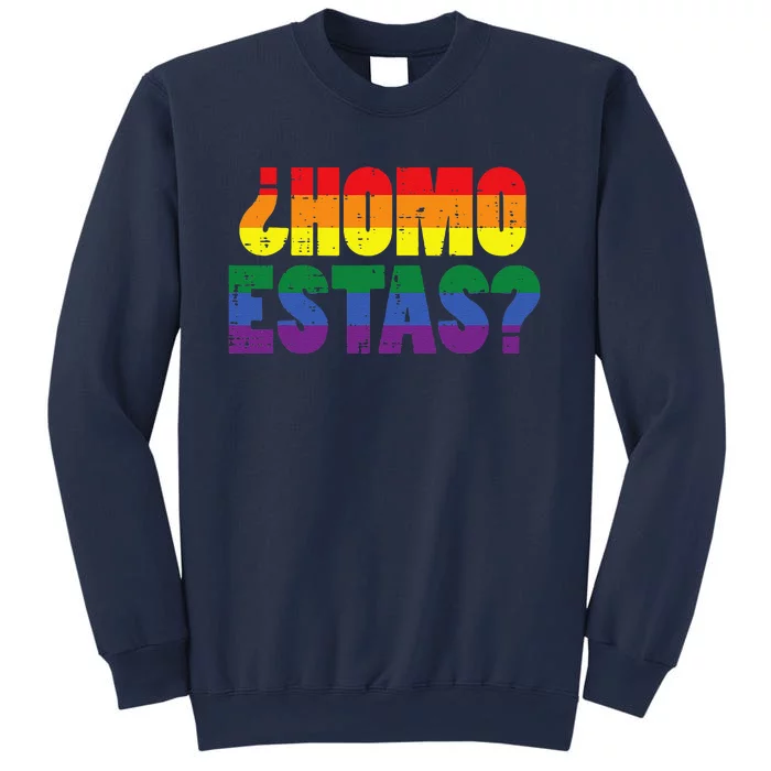 Homo Estas Spanish Mexican Funny Gay Pride Ally Lgbtq Month Sweatshirt