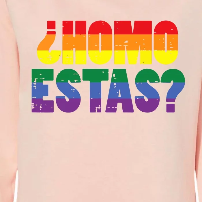 Homo Estas Spanish Mexican Funny Pride Ally Month Womens California Wash Sweatshirt