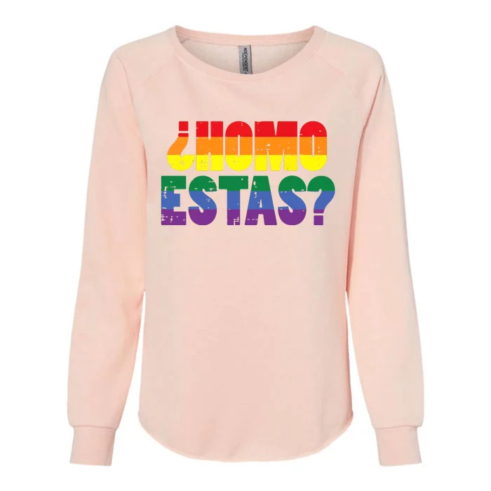 Homo Estas Spanish Mexican Funny Pride Ally Month Womens California Wash Sweatshirt