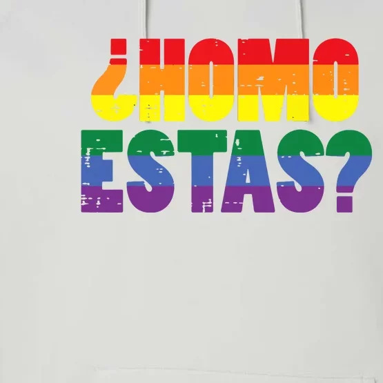 Homo Estas Spanish Mexican Funny Pride Ally Month Performance Fleece Hoodie