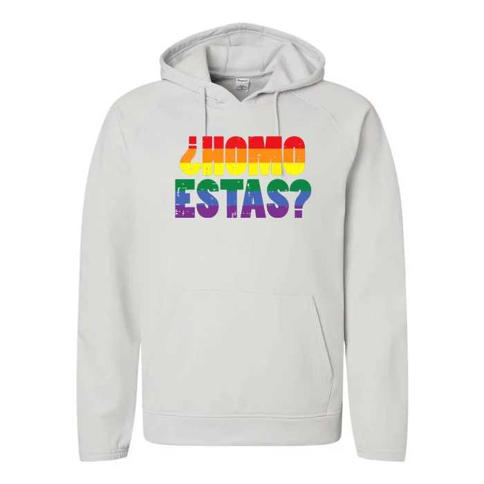 Homo Estas Spanish Mexican Funny Pride Ally Month Performance Fleece Hoodie