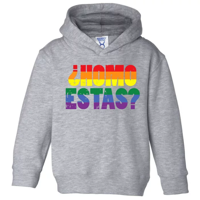 Homo Estas Spanish Mexican Funny Pride Ally Month Toddler Hoodie